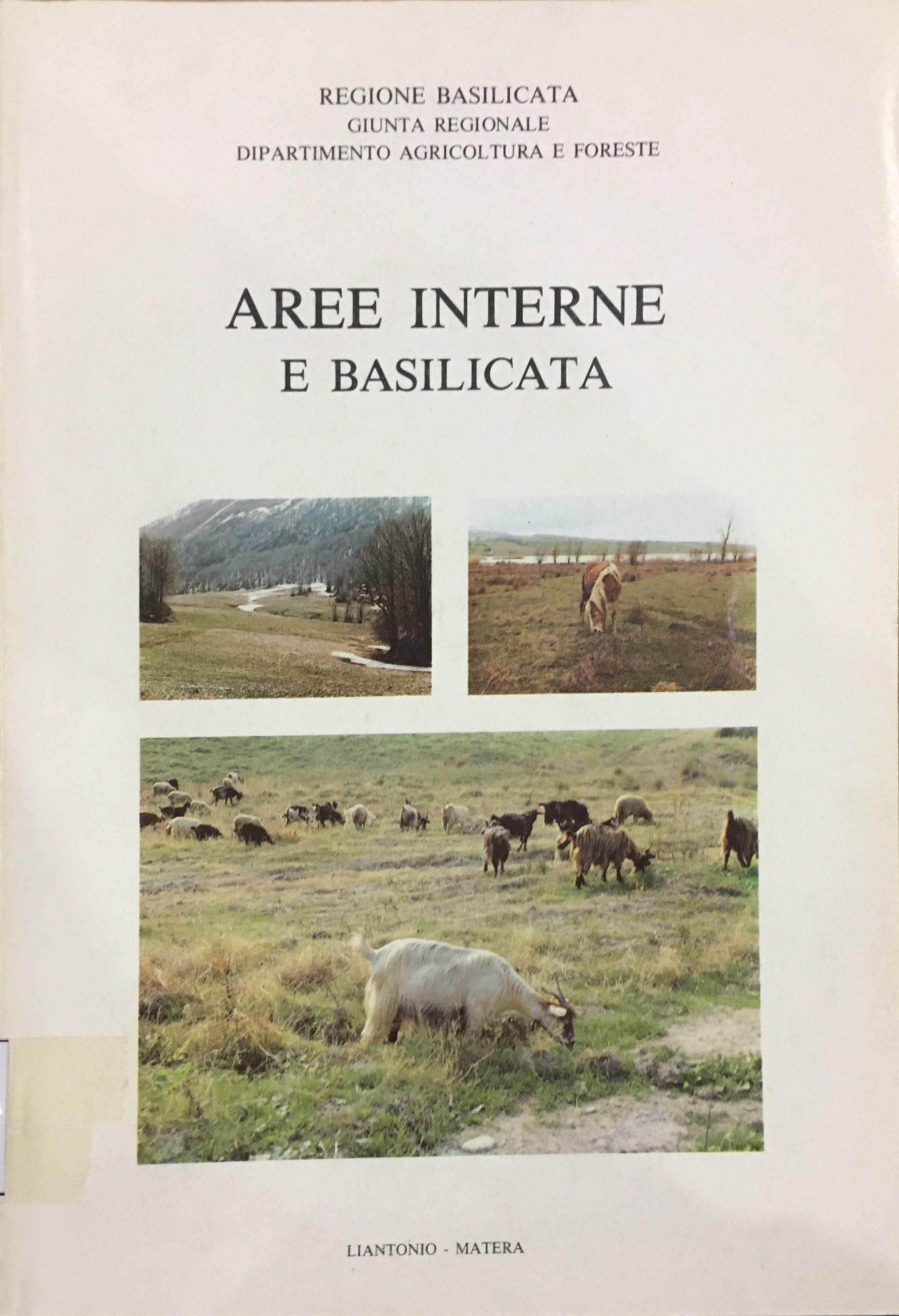 AREE INTERNE E BASILICATA